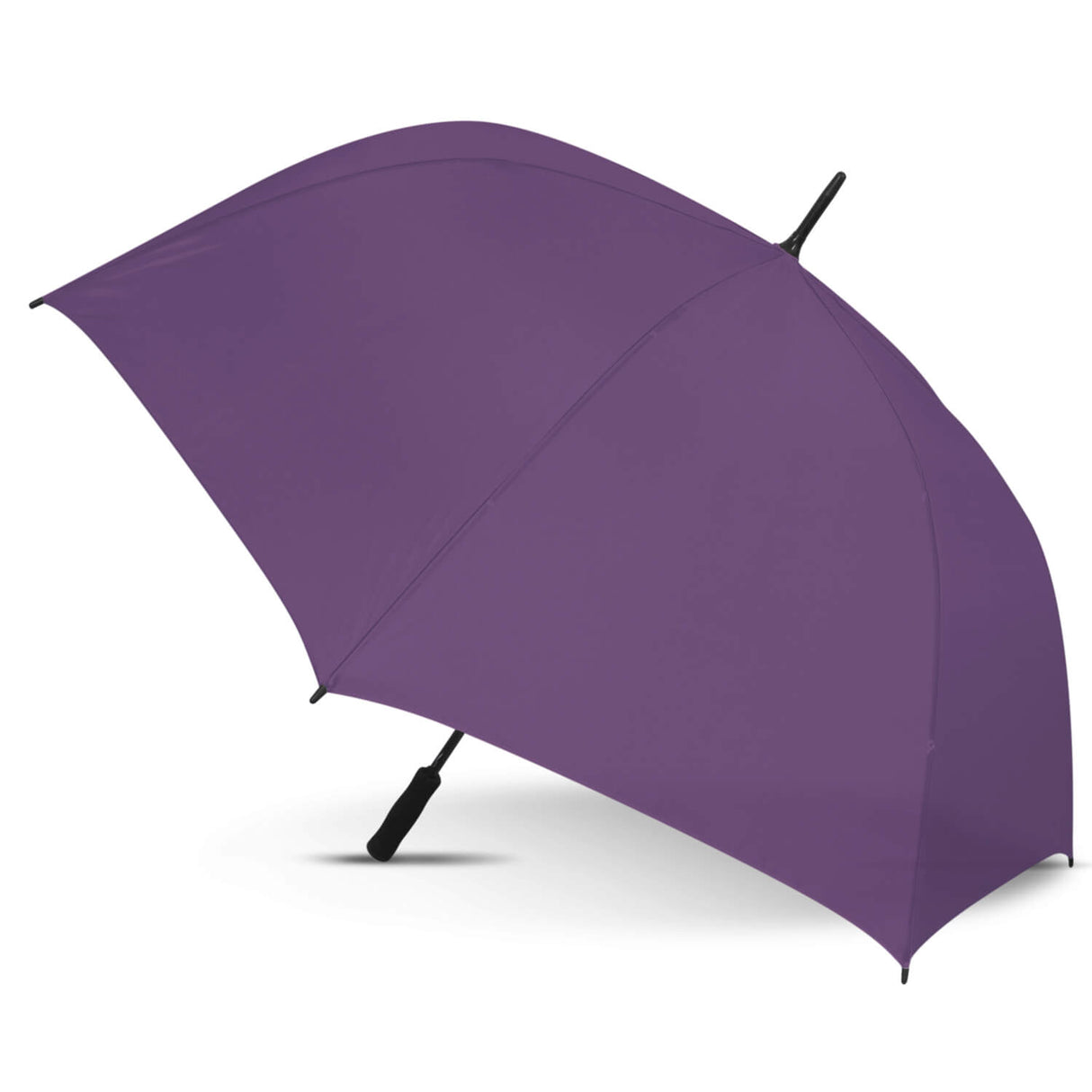 Sports Umbrella