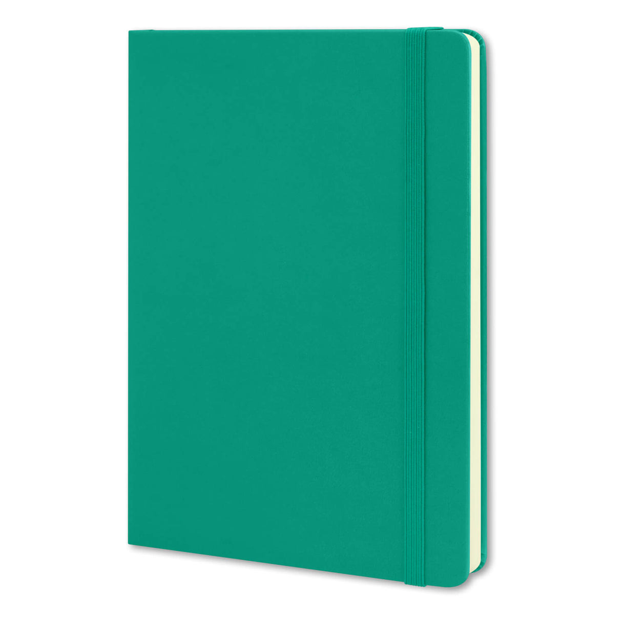 Moleskine Classic Hard Cover Notebook Large - Printed