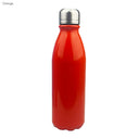 Shiny Aluminium Drink Bottles 750ml
