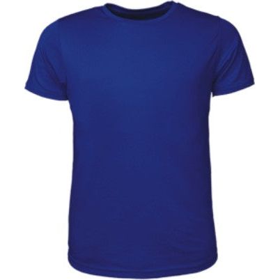 CT1420 Bocini Mens Brushed Tee Shirt