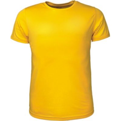 CT1420 Bocini Mens Brushed Tee Shirt