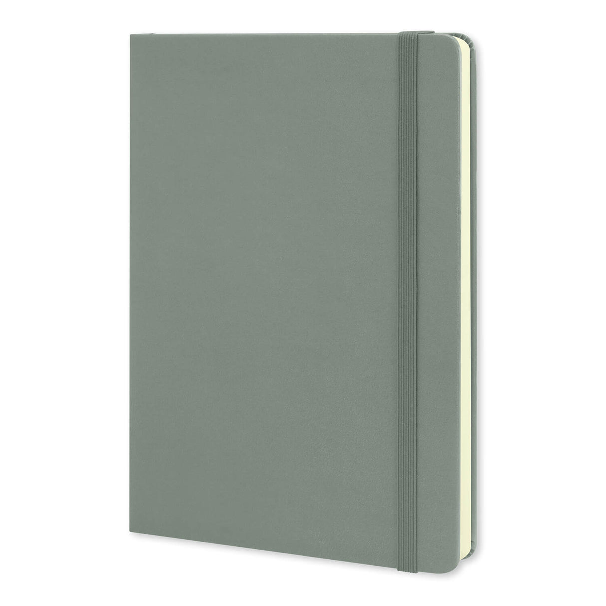 Moleskine Classic Hard Cover Notebook Large - Printed