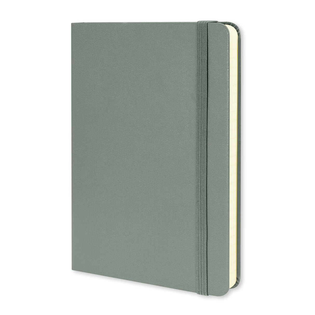 Moleskine Classic Hard Cover Notebook Medium - Printed