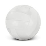 Volleyball Pro