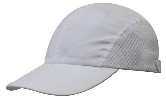 Headwear Brushed Cotton (3812)