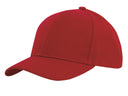 Headwer Premium American Twill College Cap (3919)