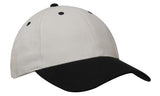 Headwear Brushed Heavy Cotton (4199)