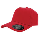 A Frame 5 Panel Cap